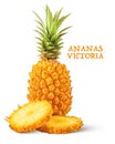 Ananas Victoria ÃÂ  maturitÃÂ© entier avec deux tranches sur fond blanc Royalty Free Stock Photo